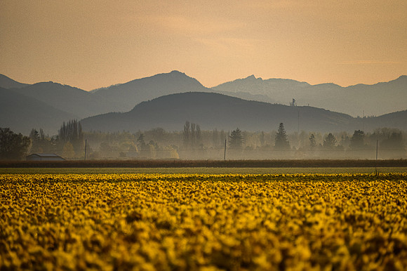 DSC_9901-Edit
