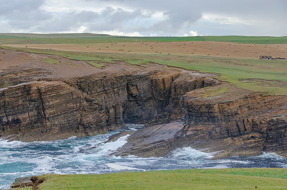 DSC_7298