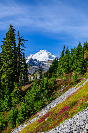 Mt Baker 1