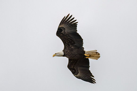 DSC_3007-Edit