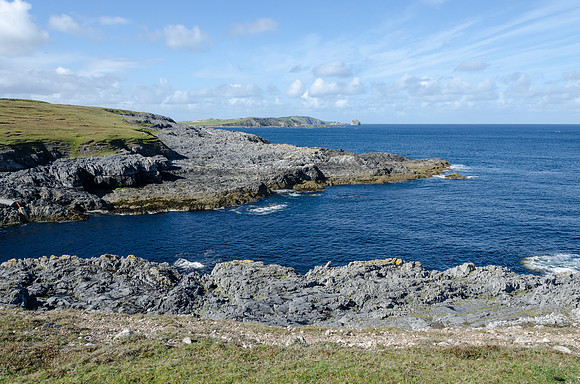 DSC_6920