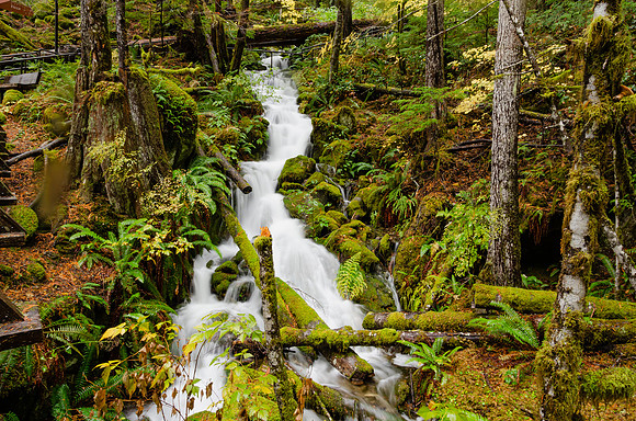 Creek at Gorge Powerhouse Newhalem 2