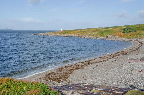 DSC_6503