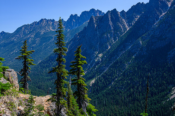 Washington Pass View