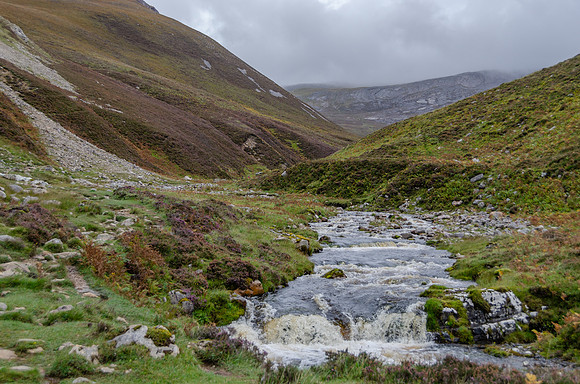 DSC_6597
