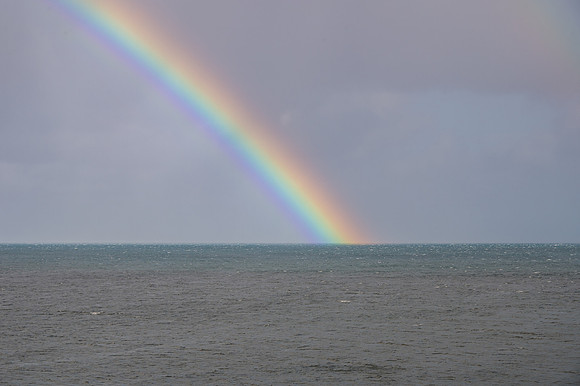 DSC_0432
