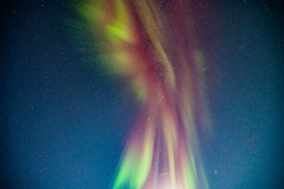 DSC_2267