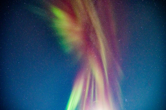 DSC_2268