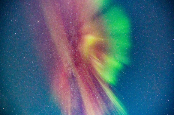 DSC_2269