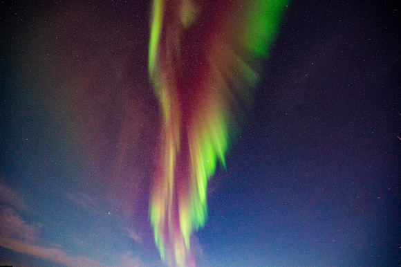 DSC_2303