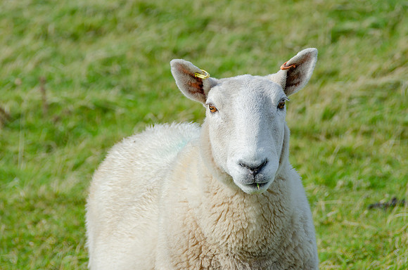 DSC_7632