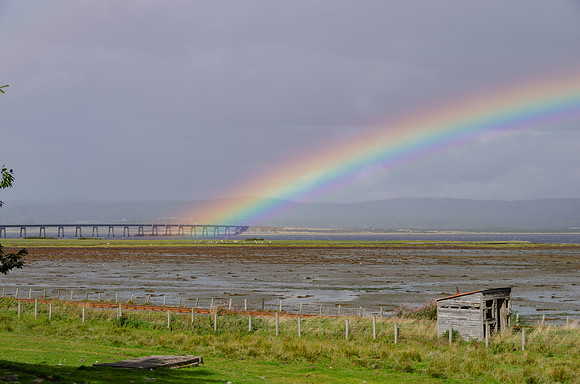 DSC_7776