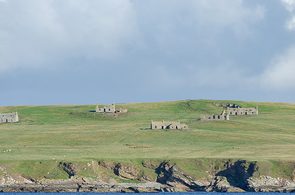 DSC_7481