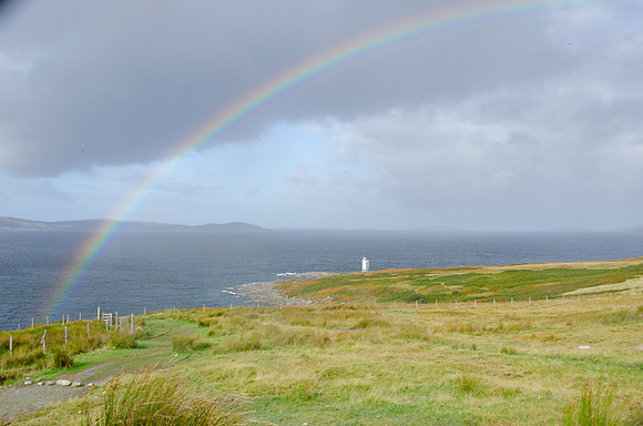 DSC_6482