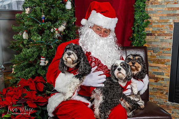 DSC_3182