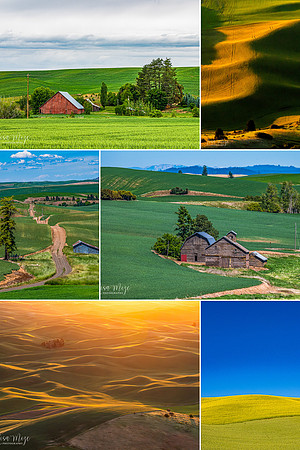 Beautiful Natural Scenery Aesthetics Mood Photo Collage (2)