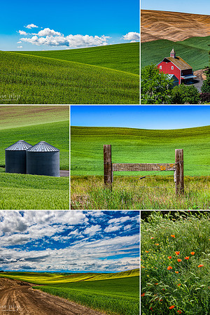 Beautiful Natural Scenery Aesthetics Mood Photo Collage (1)