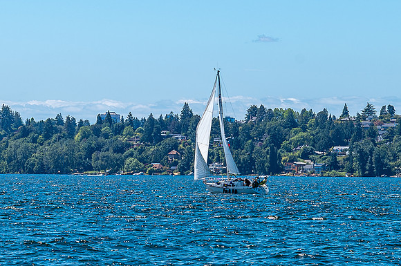 DSC_8426