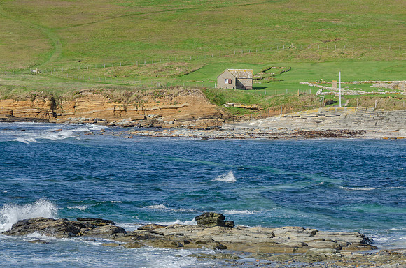 DSC_7344
