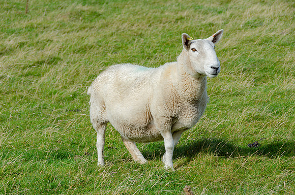 DSC_7630
