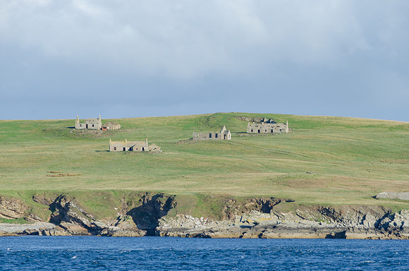 DSC_7479