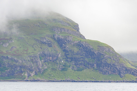 DSC_6196