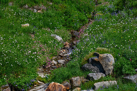 DSC_2657
