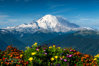 DSC_0123-Edit