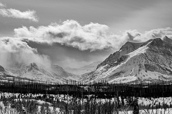 DSC_6220-2