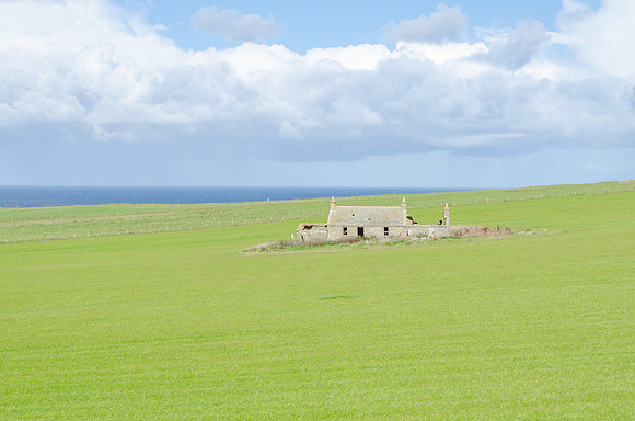 DSC_7362