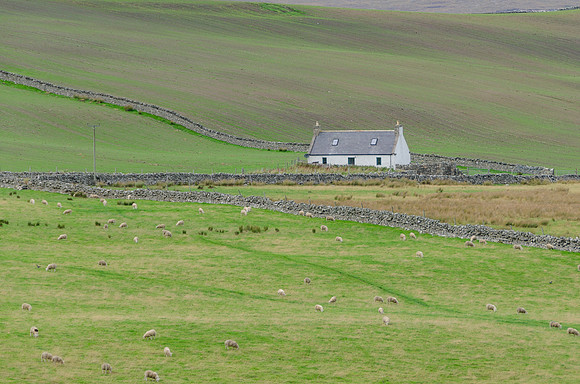 DSC_7035