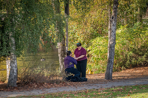 DSC_0417-Edit