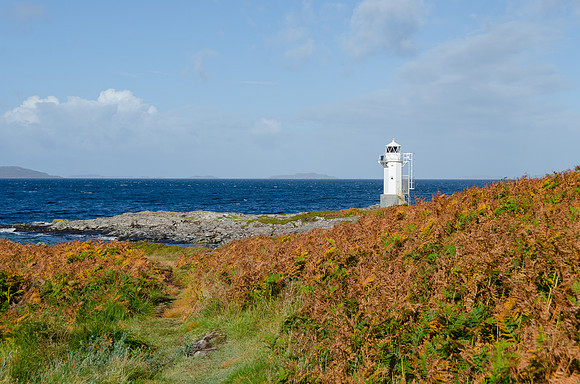DSC_6508