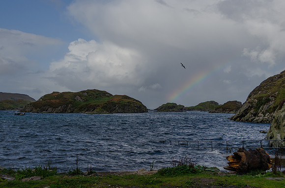 DSC_6736