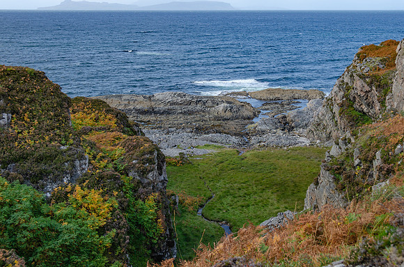 DSC_6301