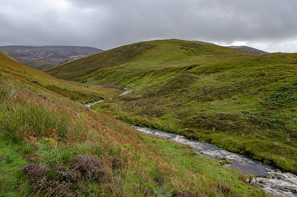 DSC_6582