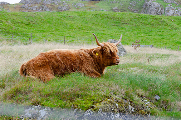 DSC_6086