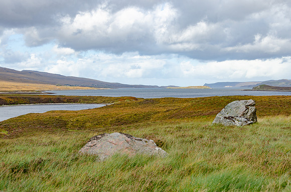 DSC_7032