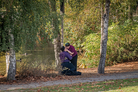 DSC_0456-Edit