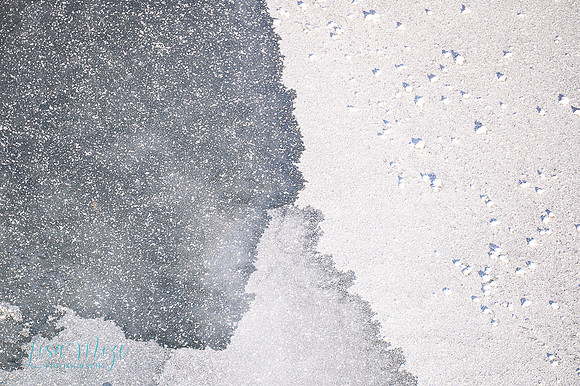 DSC_1677