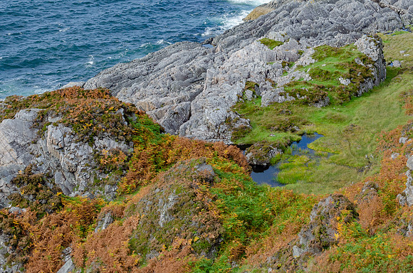 DSC_6342