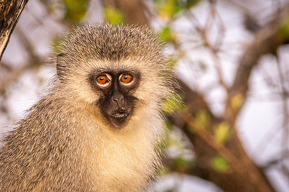 DSC_4138