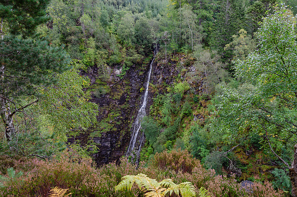 DSC_6409