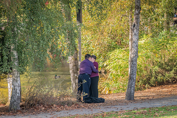 DSC_0411-Edit