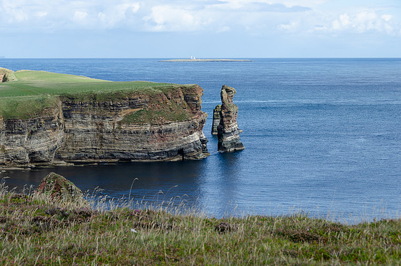 DSC_7548