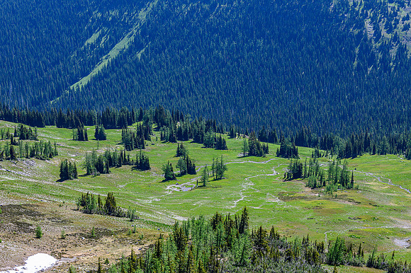 North Cascades View 19