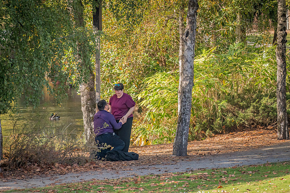 DSC_0412-Edit