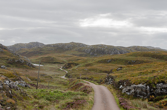 DSC_6742