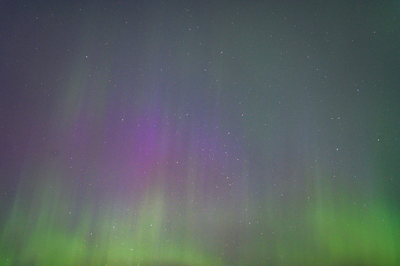DSC_6362