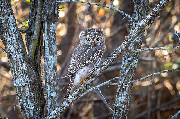 DSC_3638